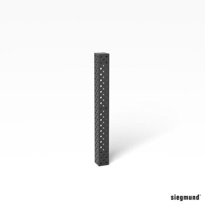Siegmund Promo - System 16 Professional Extreme 8.7 - 1000x500x100 Plasma nitrided
